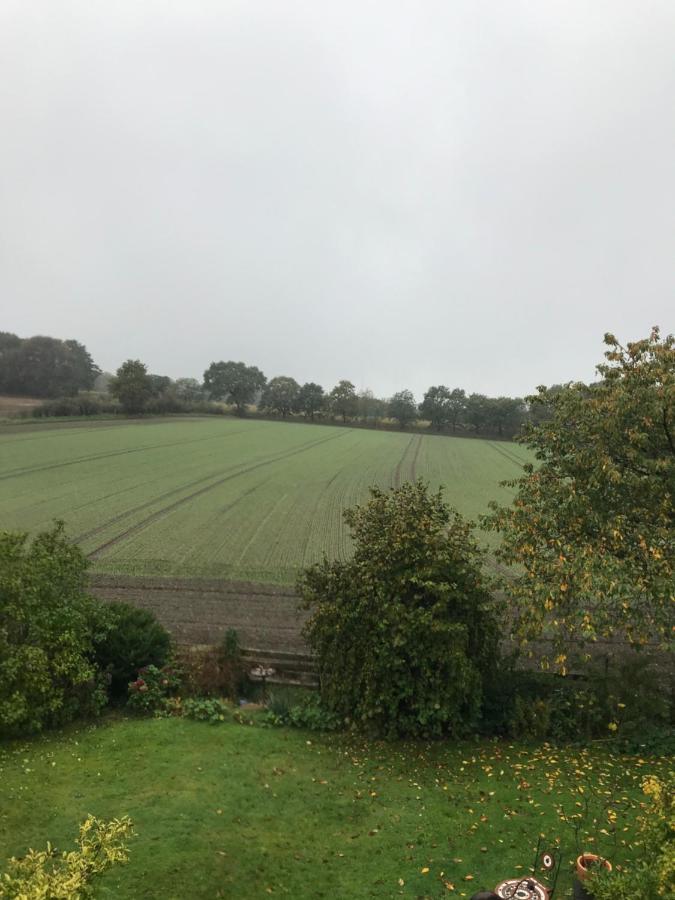 Ferienwohnung Nesthaekchen Hanerau-Hademarschen Exterior foto